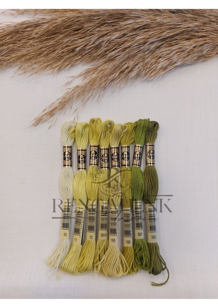 Muline Açık Yeşil Renkler 8 Renk