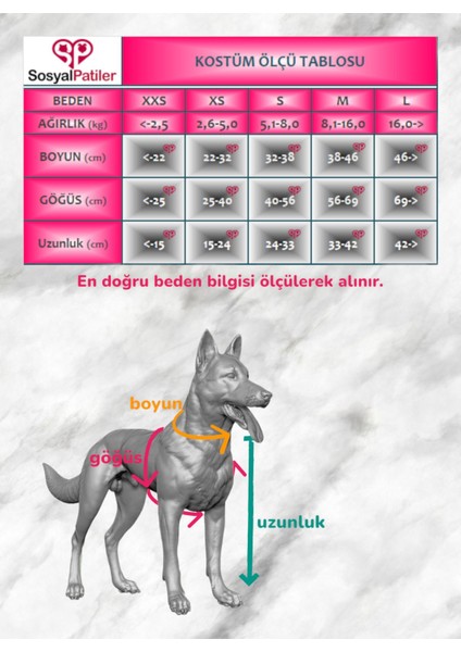 2024 Yılbaşı Kedi Kostümü Xxs Beden 0-2 kg