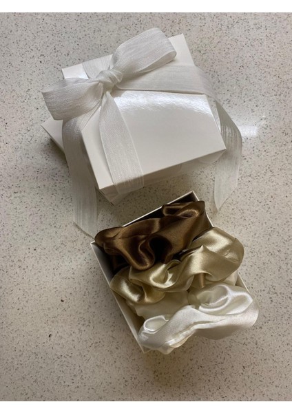 3’lü Premium Saten Saç Tokası Seti - Özel Hediye Kutusunda (Krem, Kahve, K. Kahve) fiyatları