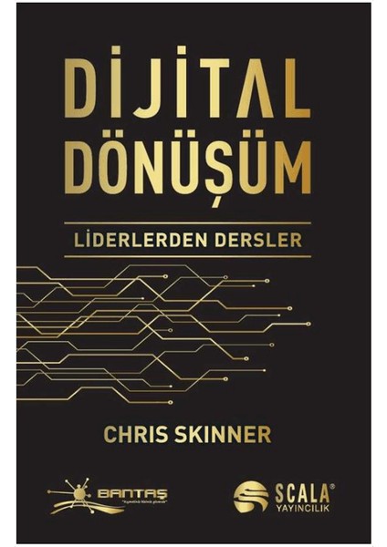 Dijital Dönüşüm Liderlerden Dersler - Chris Skinner