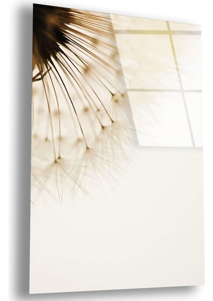 Kırılmaz Cam Puf Çiçeği Tablo