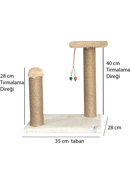 Yavru Kedi Tırmalama ve Step Oyun Alanı