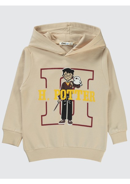 Erkek Çocuk Sweatshirt 2-5 Taş Rengi