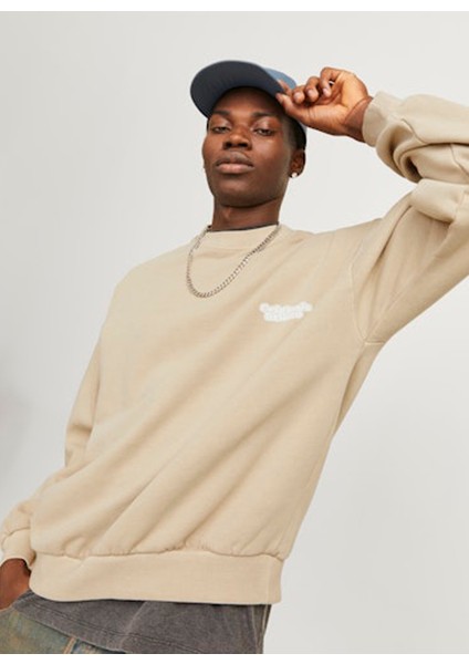 Bisiklet Yaka Bej Erkek Sweatshırt 12266178_JORRIDGEWOOD Wash Sweat Cr modelleri