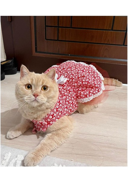 Beyaz Çiçek Desenli Fiyonklu Kırmızı Kedi Köpek Kıyafeti Elbisesi Xlarge/xl/beden 4