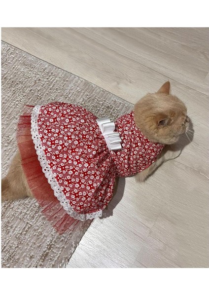 Beyaz Çiçek Desenli Fiyonklu Kırmızı Kedi Köpek Kıyafeti Elbisesi Xlarge/xl/beden 4