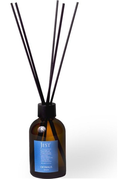Okyanus Bambu Çubuklu Oda Ortam Kokusu 100 ml