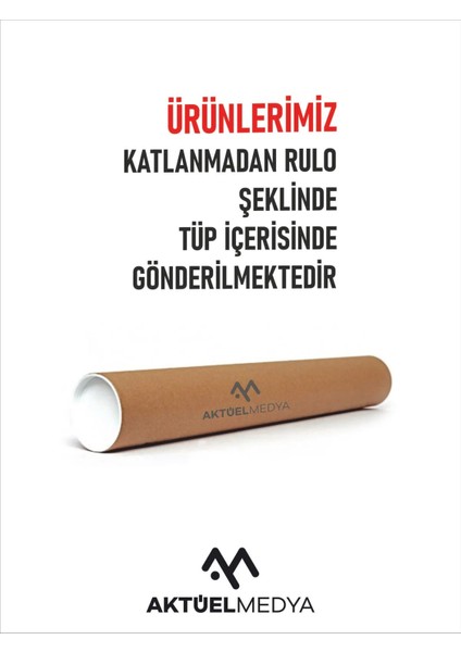 Matisse - Boho - Art Deco - Soyut - Doğa ( 3 Lü Çerçevesiz ) Poster - Afiş - Tablo KR2C00869/