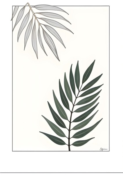 Matisse - Boho - Art Deco - Soyut - Doğa ( 3 Lü Çerçevesiz ) Poster - Afiş - Tablo KR2C00140/ modelleri