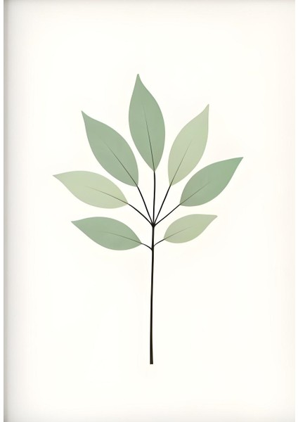 Matisse - Boho - Art Deco - Soyut - Doğa ( 3 Lü Çerçevesiz ) Poster - Afiş - Tablo KR2C00695/