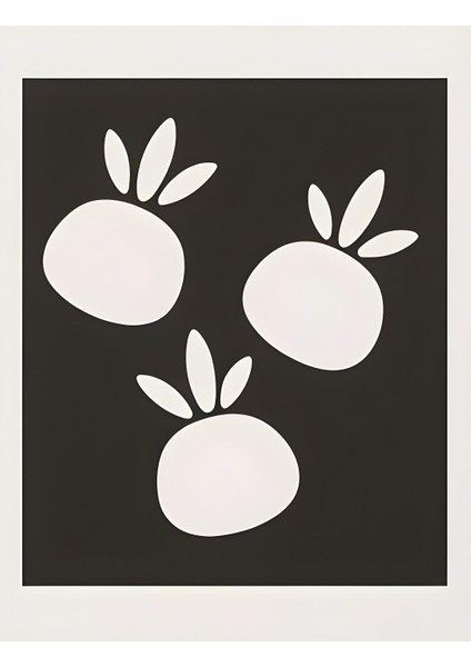 Matisse - Boho - Art Deco - Soyut - Doğa ( 3 Lü Çerçevesiz ) Poster - Afiş - Tablo KR2C00704/