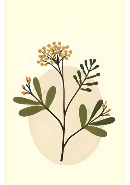 Matisse - Boho - Art Deco - Soyut - Doğa ( 3 Lü Çerçevesiz ) Poster - Afiş - Tablo KR2C00687/ modelleri
