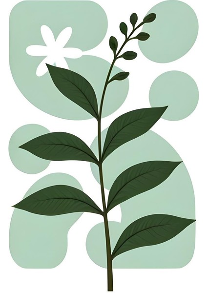 Matisse - Boho - Art Deco - Soyut - Doğa ( 3 Lü Çerçevesiz ) Poster - Afiş - Tablo KR2C00090/