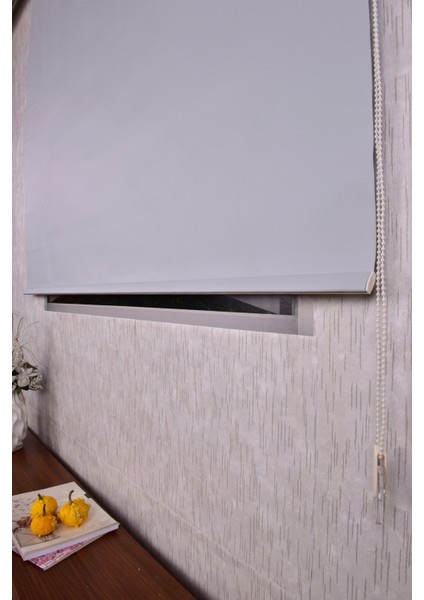 Gri Karartma Düz Etek Dilimsiz P 1090 Blackout Zebra Stor Güneşlik Perde