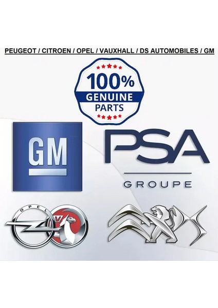 Peugeot Rcz Expert Boxer 508 5008 407 308 3008 307 Segman Takımı 1607401380 3648396