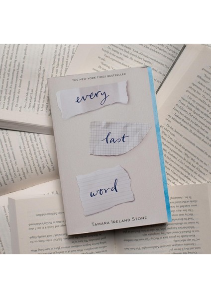 Every Last Word - Tamara Ireland Stone