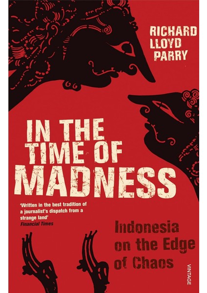 In The Time Of Madness - Richard Lloyd Parry