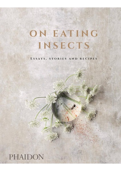 On Eating Insects / Essays, Stories And Recipes - Joshua Evans