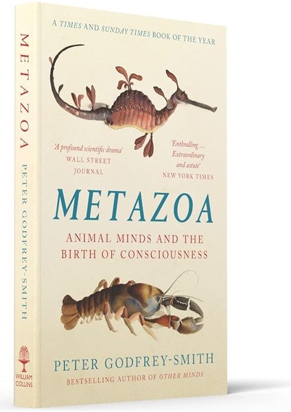 Metazoa / Animal Minds And The Birth Of Consciousness - Peter Godfrey-Smith