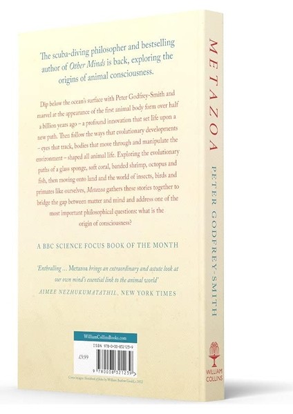 Metazoa / Animal Minds And The Birth Of Consciousness - Peter Godfrey-Smith