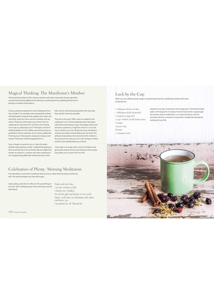 The Modern Wiccan's Guide To Living: With Witchy Rituals And Spells For Love, Luck, Wellness, And Pr - Cerridwen Greenleaf indirimleri