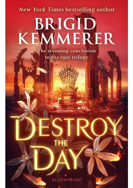 Destroy The Day - Brigid Kemmerer