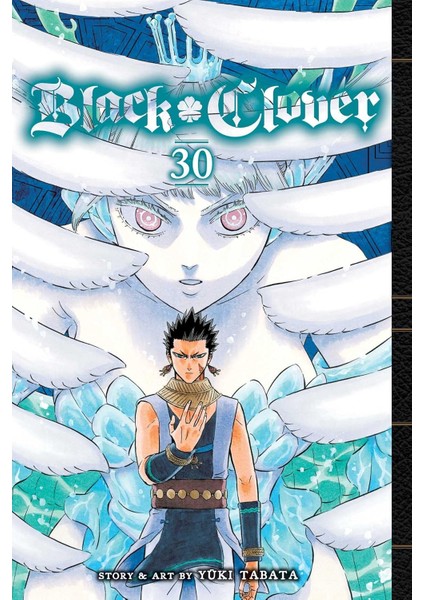 Black Clover, Vol. 30 / Volume 30 - Yuki Tabata