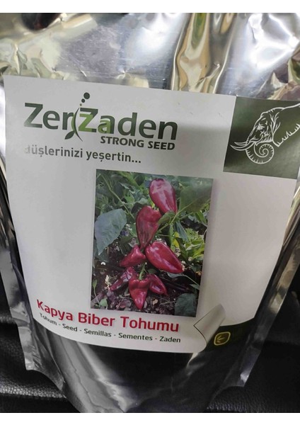 Zerzaden Fil Kulağı Kapya Biber Tohumu 500 Gram