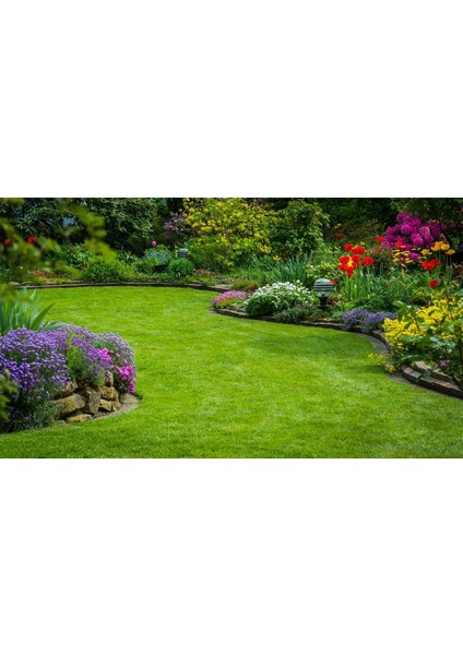 Sportsmaster Çim Gübresi 500 gr / Yavaş Salınımlı Akıllı Gübre 15 indirimleri