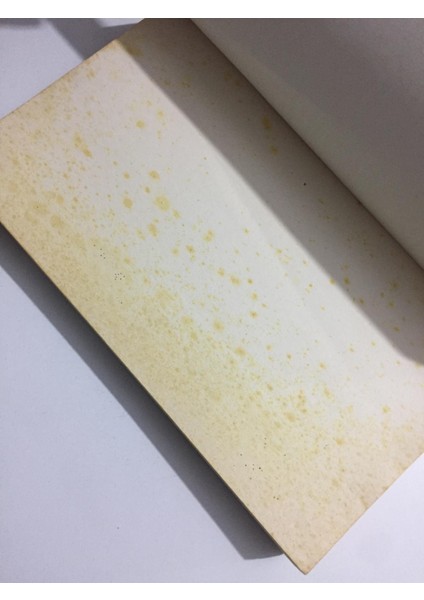 Felsefeden Tecrübeye Etkili Öğretmenlik - Taner Taştekin modelleri