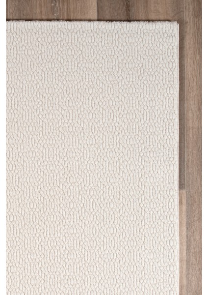 Elıa Modern Yumuşak Konforlu Halı ve Yolluk 169A Krem