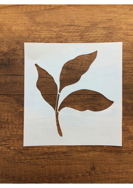 Kır Çiçeği, Floral, Botanik, Yaprak Minimalist Stencil Serisi No.9