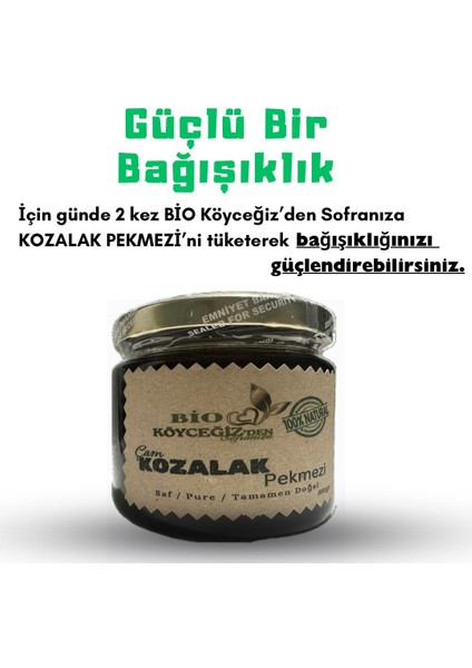 Kozalak Pekmezi - Çam Kozalak Pekmezi - Çam Kozalağı Macunu fiyatları