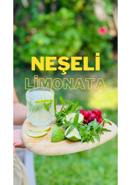 Limonata Konsantre 500 ml