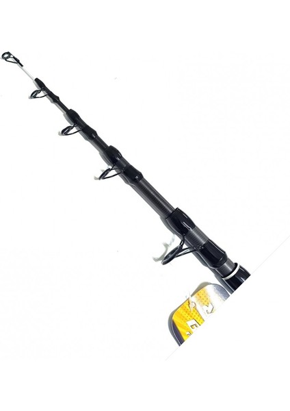 Cs X2 420CM 100-200GR Tele Surf Olta Kamışı