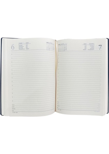 Tekno Trust 2025 Cumartesi ve Pazar Günleri Tam Sayfa 17X24 cm Ajanda Gri fiyatları