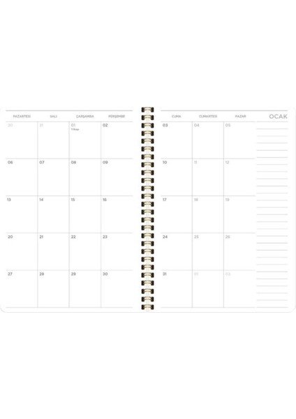 Tekno Trust Keskin Color 2025 Haftalık Ajanda Aura fiyatları