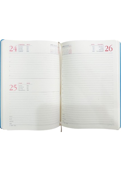 Tekno Trust 16X24 cm Termo Deri Günlük 2025 Ajanda Koyu Yeşil fiyatları