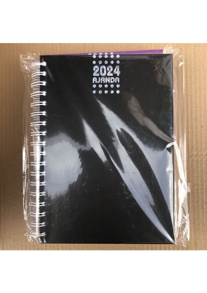 Tekno Trust Ajanda 2025 24X17CM