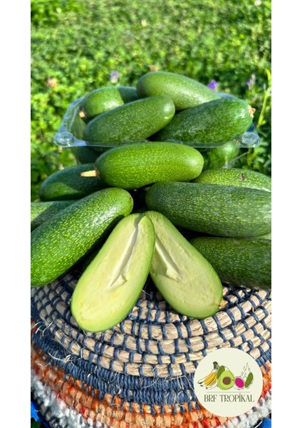 Bebek Avokado 1kg (Parmak Avokado)