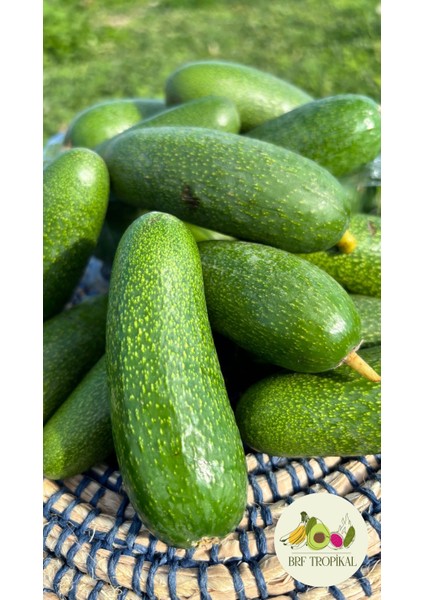 Bebek Avokado 1kg (Parmak Avokado) fiyatları