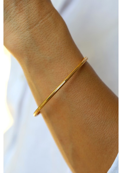 14 Ayar Altın İçi Boş Işıltılı Ajda Bilezik fırsatları