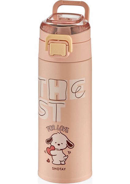 Chıc Çelik Termos Matara 460 Ml. modelleri