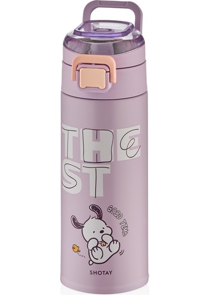 Chıc Çelik Termos Matara 460 Ml. fırsatları