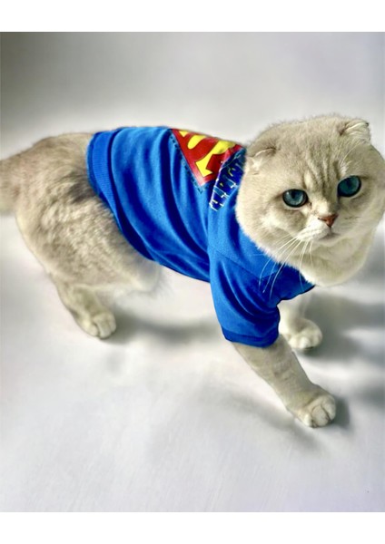 Mavi Superman Kedi Tişörtü Kedi Kıyafeti Kedi Elbisesi