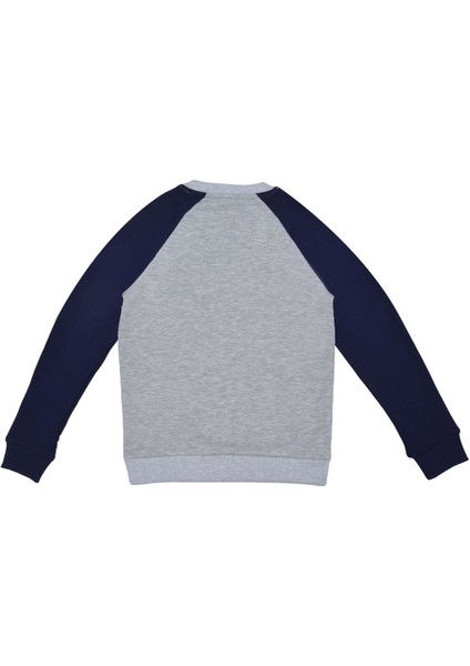 Erkek Çocuk Sweatshirt - Gri fiyatları
