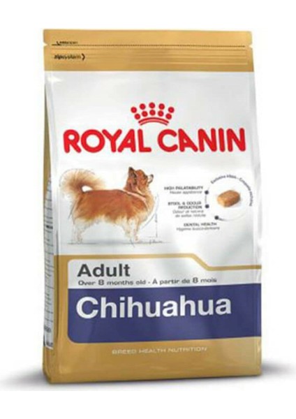 Chihuahua 1,5 kg