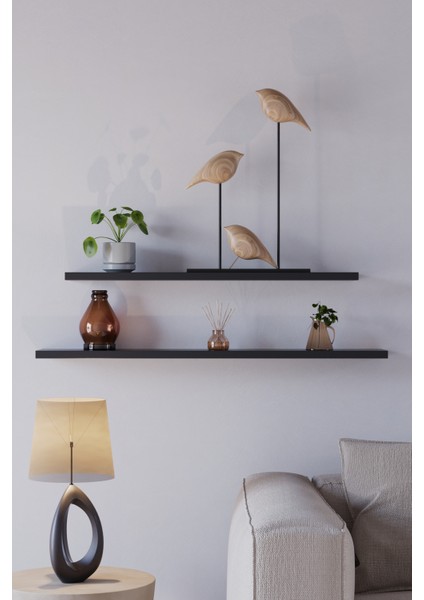 70 Cm 80 Cm 2li Mdf Mat Siyah Uçan Duvar Rafı Gizli Bağlantı Kitaplık fiyatları