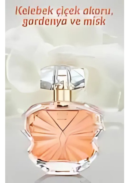 Eve Become Kadın Parfüm 50 ml