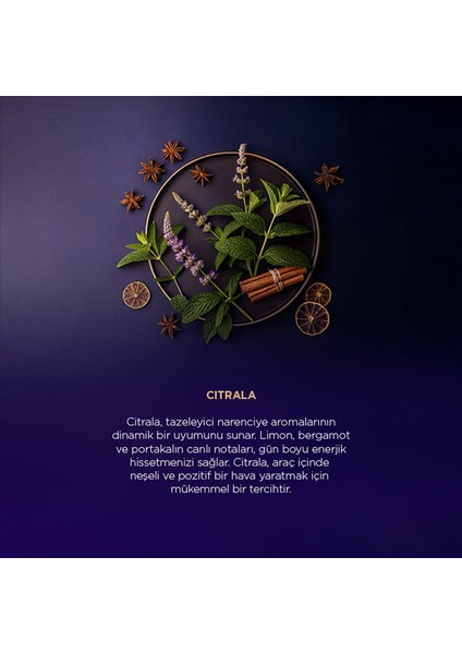 Araç Kokusu Başlangıç Kiti (Arkadaş Paketi) - Aura&Citrala